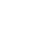 Community